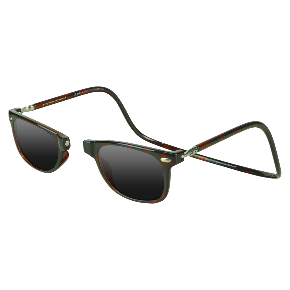 Ashbury Sunglasses