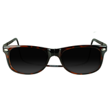 Ashbury XL Sunglasses