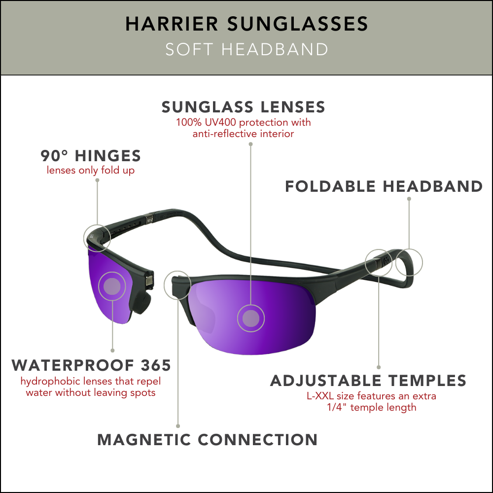 Harrier Sunglasses