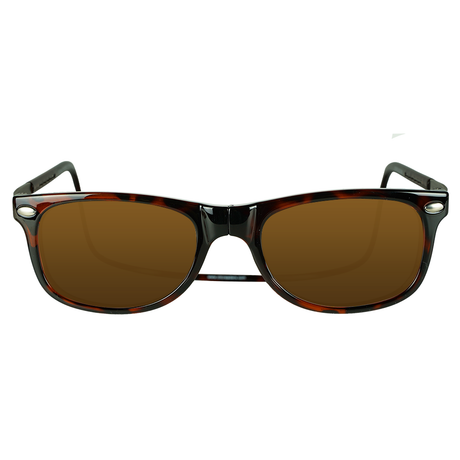 Ashbury XL Sunglasses